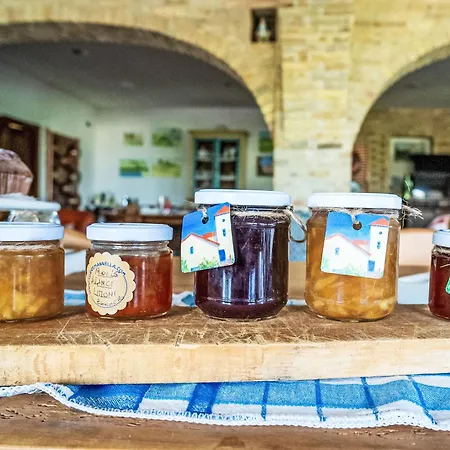 Appartement Grappolo By Interhome