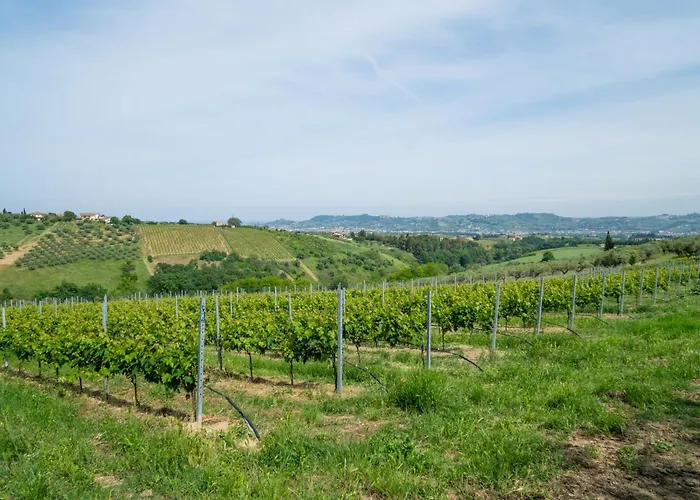 Grappolo By Interhome Διαμέρισμα