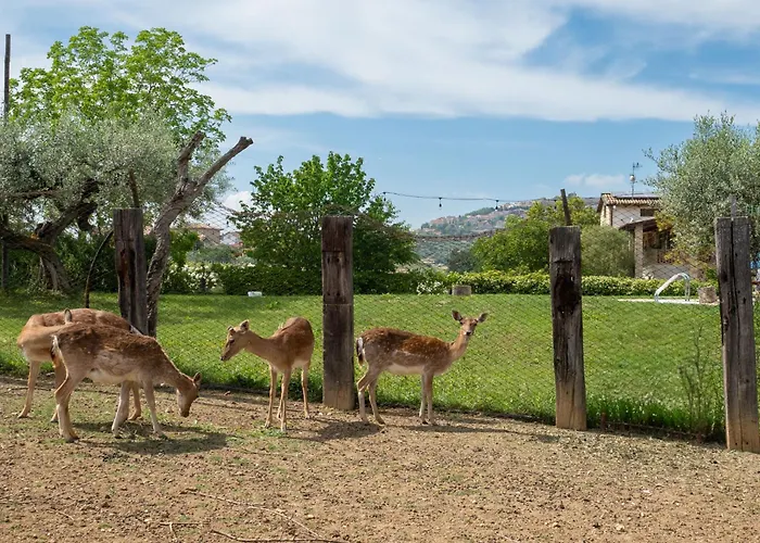 Grappolo By Interhome Citta Sant'Angelo