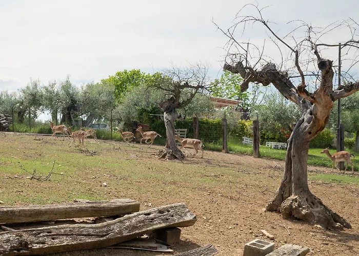 Grappolo By Interhome Διαμέρισμα *