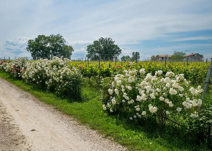 Grappolo By Interhome Διαμέρισμα Citta Sant'Angelo