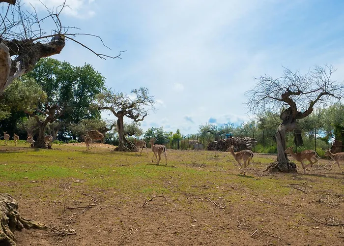 Διαμέρισμα Grappolo By Interhome *