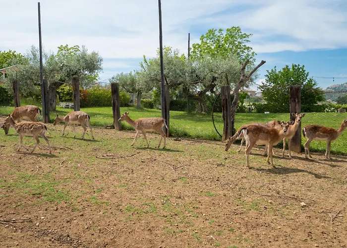 Grappolo By Interhome Citta Sant'Angelo