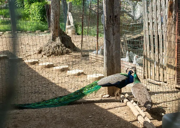 Grappolo By Interhome * Citta Sant'Angelo